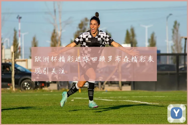 欧洲杯精彩进球回顾罗布森精彩表现引关注