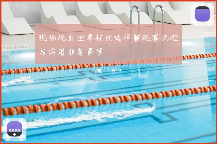 现场观看世界杯攻略详解观赛流程与实用准备事项
